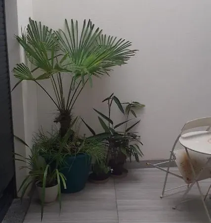 Lejlighed Appartement Espinho