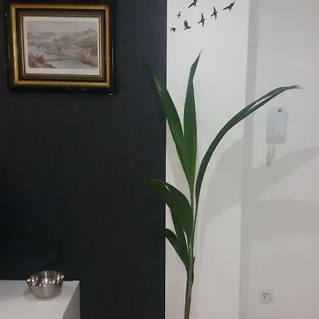 Appartement Espinho דירה אספיניו