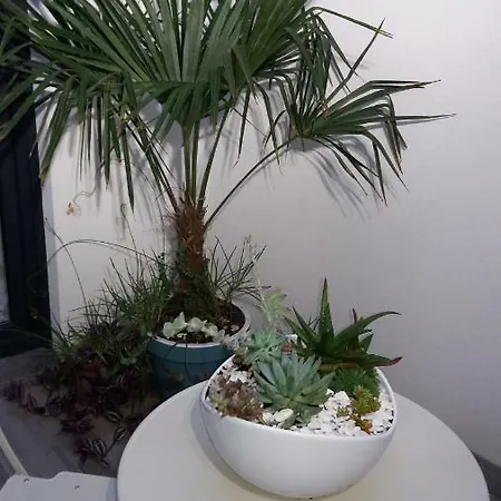 Appartement Espinho
